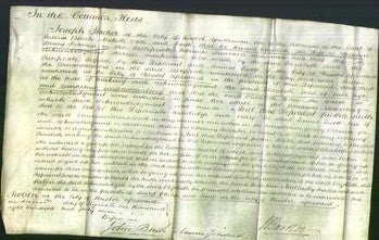 Court of Common Pleas - Elizabeth Francis-Original Ancestry