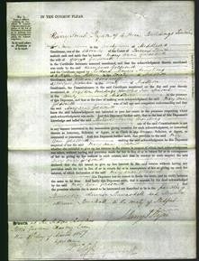 Court of Common Pleas - Mary Anne Goldsmith-Original Ancestry