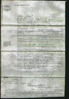 Court of Common Pleas - Sarah Lawrence-Original Ancestry
