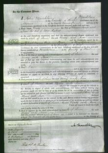 Court of Common Pleas - Mary Jones and Anne Hadler-Original Ancestry