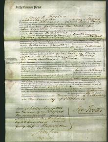 Court of Common Pleas - Catharine Greader-Original Ancestry