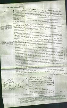 Court of Common Pleas - Jane Mills-Original Ancestry