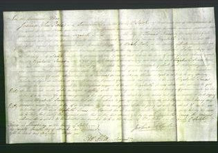 Court of Common Pleas - Elizabeth Jones-Original Ancestry