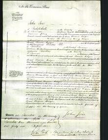 Court of Common Pleas - Maria Helyar-Original Ancestry