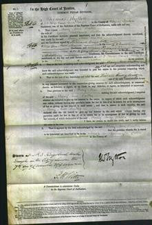 Court of Common Pleas - Mary Ann Butler-Original Ancestry