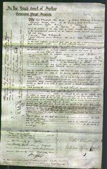 Court of Common Pleas - Sarah Ann Robson-Original Ancestry