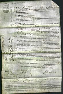 Court of Common Pleas - Mary Constable-Original Ancestry