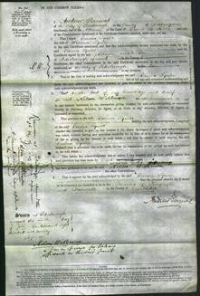 Court of Common Pleas - Emma Squire-Original Ancestry