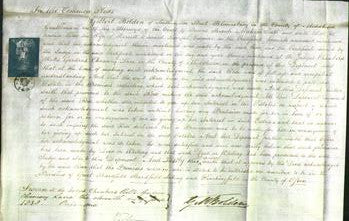 Court of Common Pleas - Rose Lampet-Original Ancestry