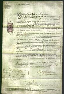 Court of Common Pleas - Margaret Mary Wynne Roberts-Original Ancestry