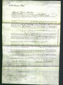 Court of Common Pleas - Mercy Vining-Original Ancestry