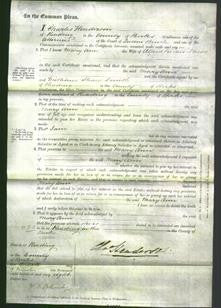 Court of Common Pleas - Mary Ann Neave-Original Ancestry