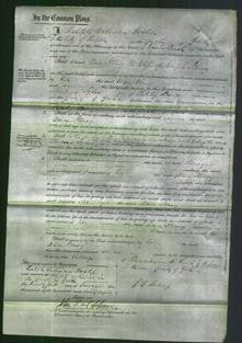 Court of Common Pleas - Ann Stoney-Original Ancestry