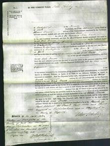 Court of Common Pleas - Alice Bruce-Original Ancestry