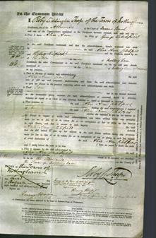 Court of Common Pleas - Alice Ann Litchfield-Original Ancestry