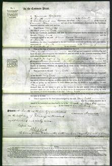 Court of Common Pleas - Mary Dodd-Original Ancestry