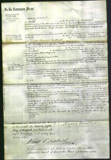 Court of Common Pleas - Eliza Louisa Hopkins-Original Ancestry