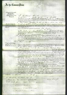Court of Common Pleas - Elizabeth Lucas and Lucy Ransom-Original Ancestry