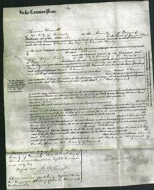 Court of Common Pleas - Eleanor Rowley-Original Ancestry