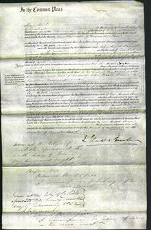 Court of Common Pleas - Jane Watson-Original Ancestry