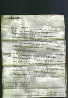 Court of Common Pleas - Mary Dewey-Original Ancestry