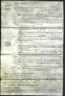 Court of Common Pleas - Sarah Sprague, Emma Flavel, Ann Sanders and Elizabeth Pugh-Original Ancestry