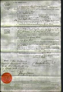 Court of Common Pleas - Grace Read-Original Ancestry