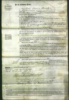 Court of Common Pleas - Ellen Chell-Original Ancestry