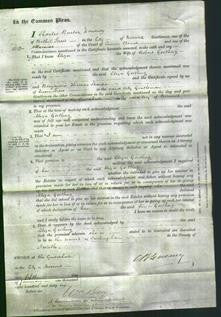 Court of Common Pleas - Eliza Gostling-Original Ancestry