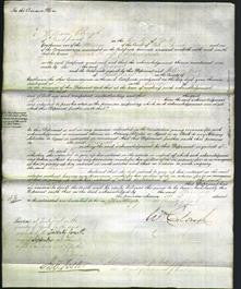 Court of Common Pleas - Hannah Fisher-Original Ancestry