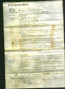 Court of Common Pleas - Charlotte Latham-Original Ancestry