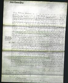 Court of Common Pleas - Sarah Jones-Original Ancestry