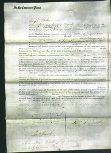 Court of Common Pleas - Elizabeth Holberton-Original Ancestry