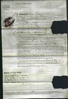 Court of Common Pleas - Hannah Ray-Original Ancestry