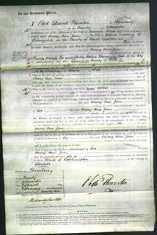 Court of Common Pleas - Mary Ann Jane Dowling-Original Ancestry