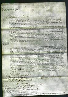 Court of Common Pleas - Agnes Gatcombe Grevile-Original Ancestry