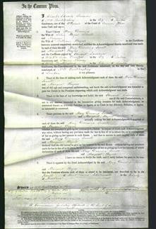 Court of Common Pleas - Mary Dunning Sewell and Margaret Haynes-Original Ancestry