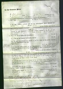 Court of Common Pleas - Mary Clarke-Original Ancestry