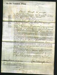 Court of Common Pleas - Urania Priscilla Gooch-Original Ancestry