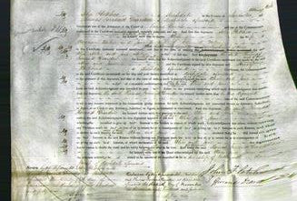 Court of Common Pleas - Alice Milne and Jane Milne-Original Ancestry