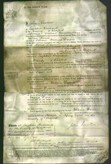 Court of Common Pleas - Maria Dippie-Original Ancestry