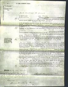 Court of Common Pleas - Elizabeth Brotherston-Original Ancestry