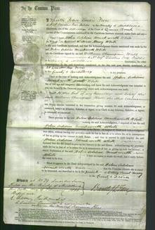 Court of Common Pleas - Helen Adeline Mackworth-Original Ancestry
