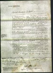 Court of Common Pleas - Margaret Griffith-Original Ancestry