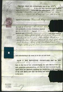 Court of Common Pleas - Hannah Ray-Original Ancestry