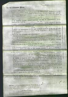 Court of Common Pleas - Martha Rathbone-Original Ancestry