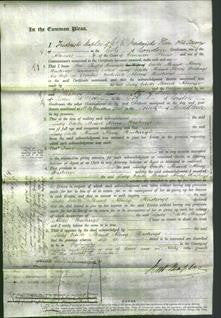 Court of Common Pleas - Right Honorable Lady Edith Maud Abney Hastings-Original Ancestry