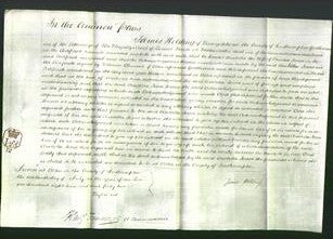 Court of Common Pleas - Arabella Jones-Original Ancestry