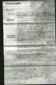 Court of Common Pleas - Jane Barrett-Original Ancestry