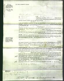 Court of Common Pleas - Maria Goodey-Original Ancestry